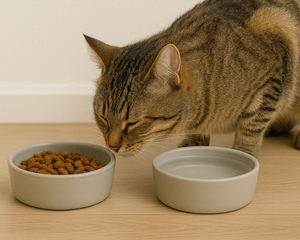 Collection image for: Comederos y bebederos para gato