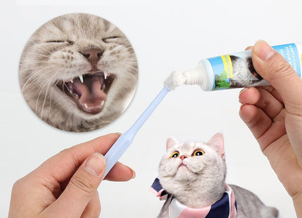 Cepillo De Dientes 360° Para Mascotas