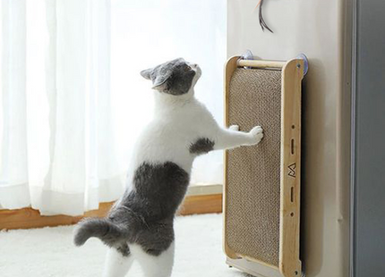 Juguete Colgante Automático Para Gatos