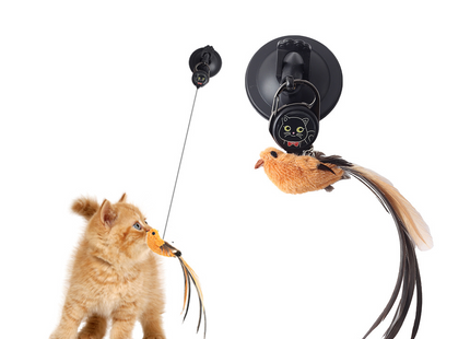 Juguete Colgante Automático Para Gatos