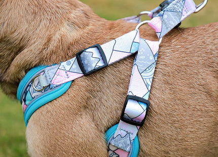 Arnés Pechera En Forma X  + Correa Para Perro