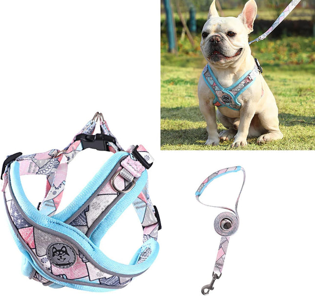 Arnés Pechera En Forma X  + Correa Para Perro