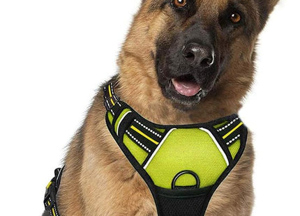 Pechera Anti Tirones Para Perro + Correa
