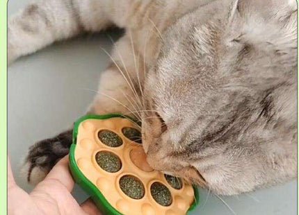 Juguete Interactivo Con Catnip Para Gatos