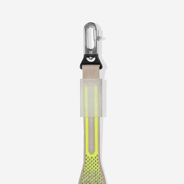 Correa Zeedog Nit Gluten