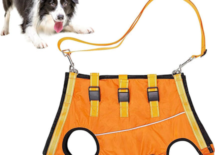 Arnés de elevación para perros