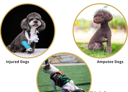 Arnés de elevación para perros