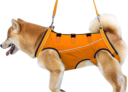 Arnés de elevación para perros