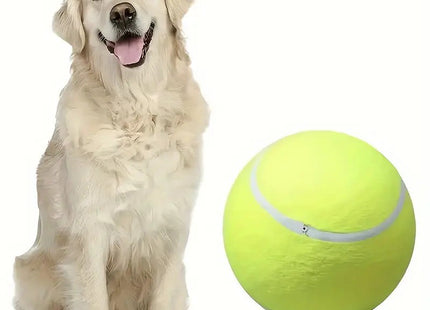 Pelota De Tenis Gigante