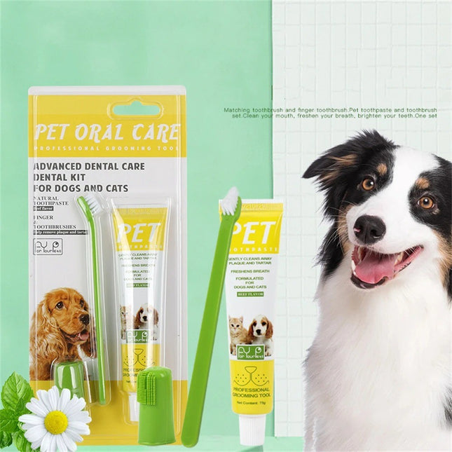Kit 2 Cepillos Y Pasta Dental