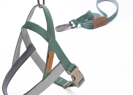Conjunto de Arnés Y Correa Ajustable