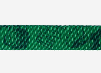 Collar Zeedog Hulk Edición Limitada