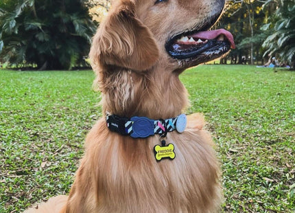 Chapita Identificatoria Redonda De Silicona Para Mascotas