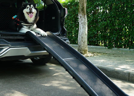 Rampa Grande Para Perros