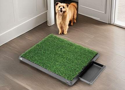 Baño Sanitario Para Perro