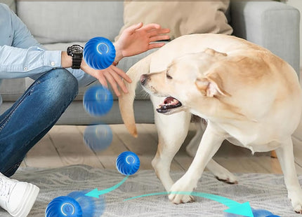Pelota Inteligente Para Perros