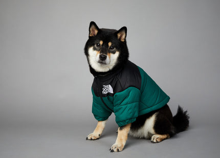 Campera Impermeable The Dog Fans