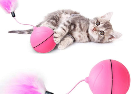 Juguete para gato pelota con movimiento recargable