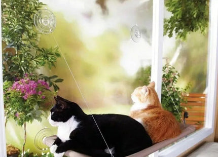 Cucha Cama Gato Aérea Mascotas Para Ventana Ventosa Cómoda
