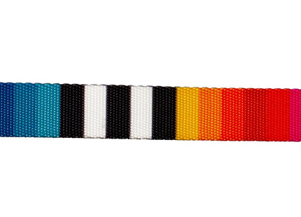 Collar para perro Zeedog Prisma