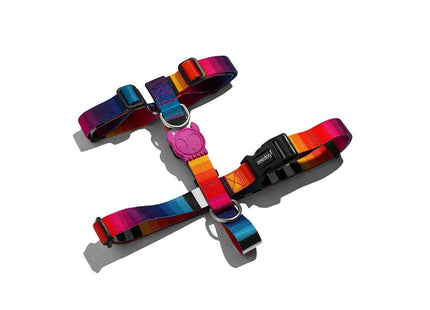 Arnés H para perro Zeedog Prisma