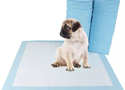 Set de pañales descartables para perro talle L