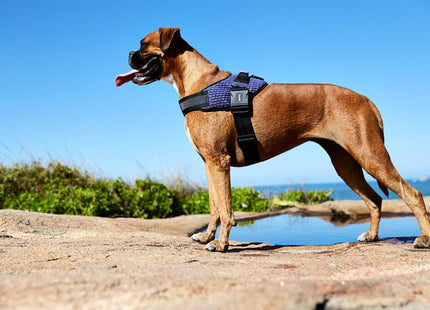 Arnés Pechera Zee.dog FlyHarness Urban