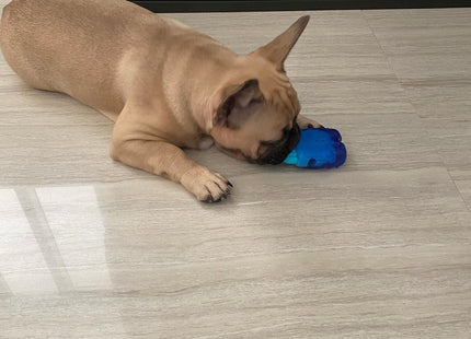 Juguete para perro Zeedog Brain Freeze