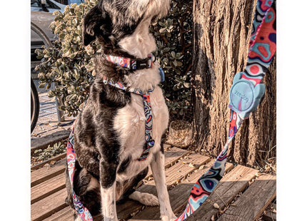 Collar para perro Zeedog Blast