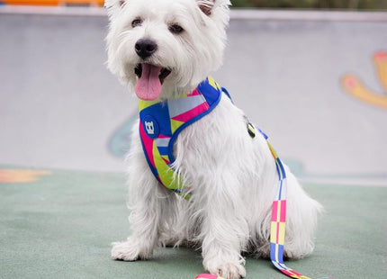 Correa perro Zeedog Volt