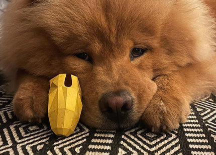 Juguete para perro Zeedog Fruitz banana dispensador