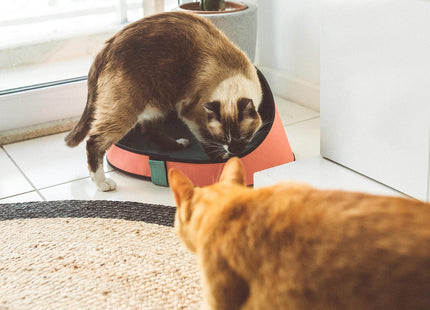 Cama cucha para gato Zee Cat Terracotta
