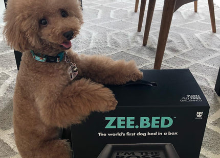 Cama cucha para perro Zee Bed Zee.Dog