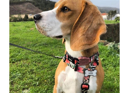 Arnés H para perro Zeedog Mahalo