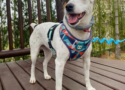 Pechera malla para perro Zeedog Ella