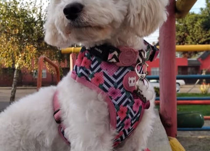 Pechera malla para perro Zeedog Mahalo