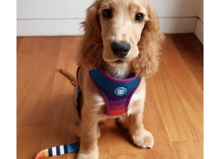 Pechera Mesh Malla para perro Zeedog Prisma