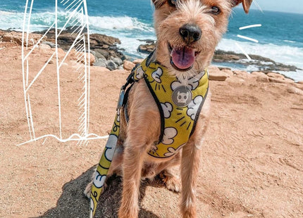 Pechera malla para perro Zeedog Smash