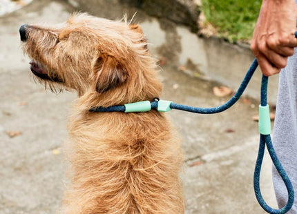 Correa de entrenamiento para perro Zeedog Indigo