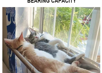 Cucha Cama Gato Aérea Mascotas Para Ventana Ventosa Cómoda