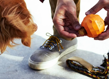 Juguete para perro Zeedog Fruitz naranja dispensador
