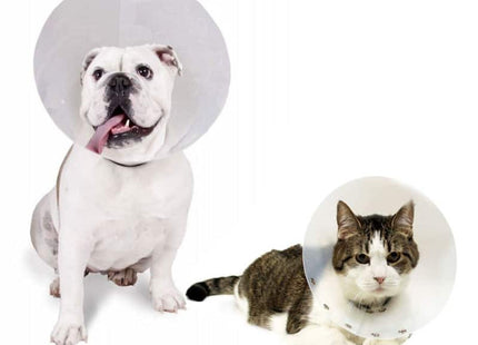 Collar isabelino para perro o gato tamaño regulable