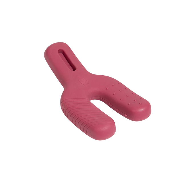 Juguete para perro Zeedog Wishbone