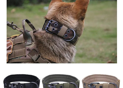 Collar Táctico De Entrenamiento + Correa Para Perro