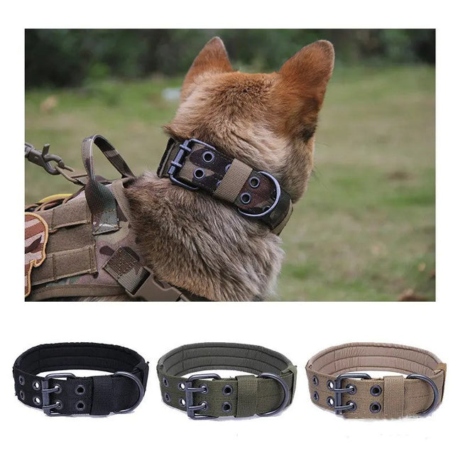 Collar Táctico De Entrenamiento + Correa Para Perro