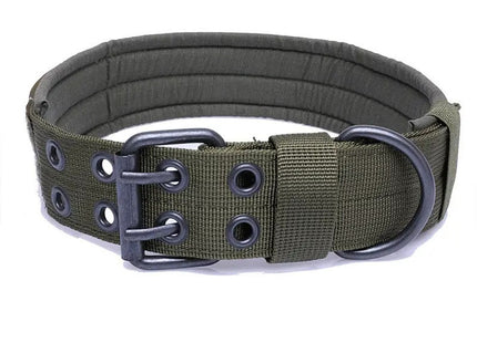 Collar Táctico De Entrenamiento + Correa Para Perro