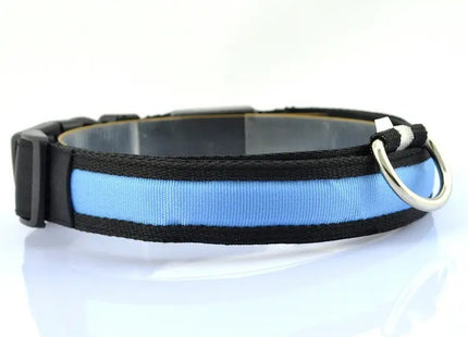 Collar LED Recargable Por USB