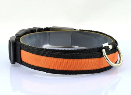 Collar LED Recargable Por USB