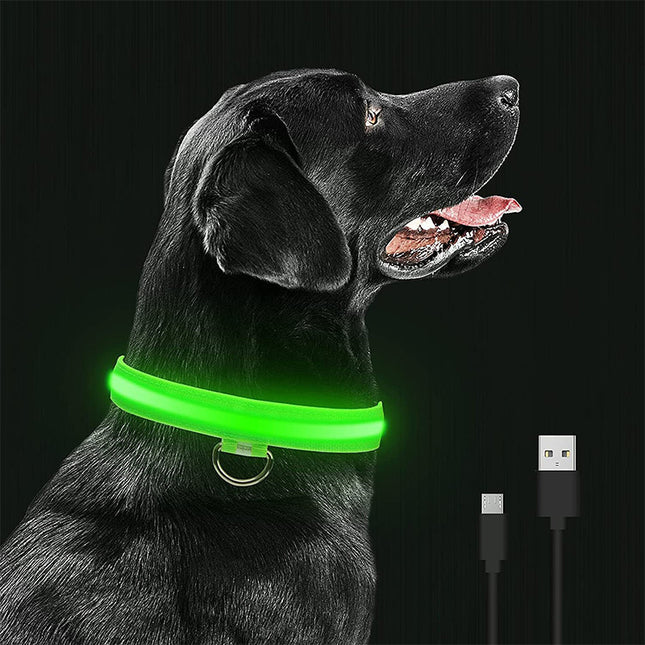 Collar LED Recargable Por USB