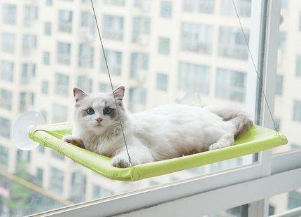 Cucha Cama Gato Aérea Mascotas Para Ventana Ventosa Cómoda